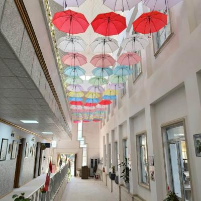 5319242427330062439 Copy